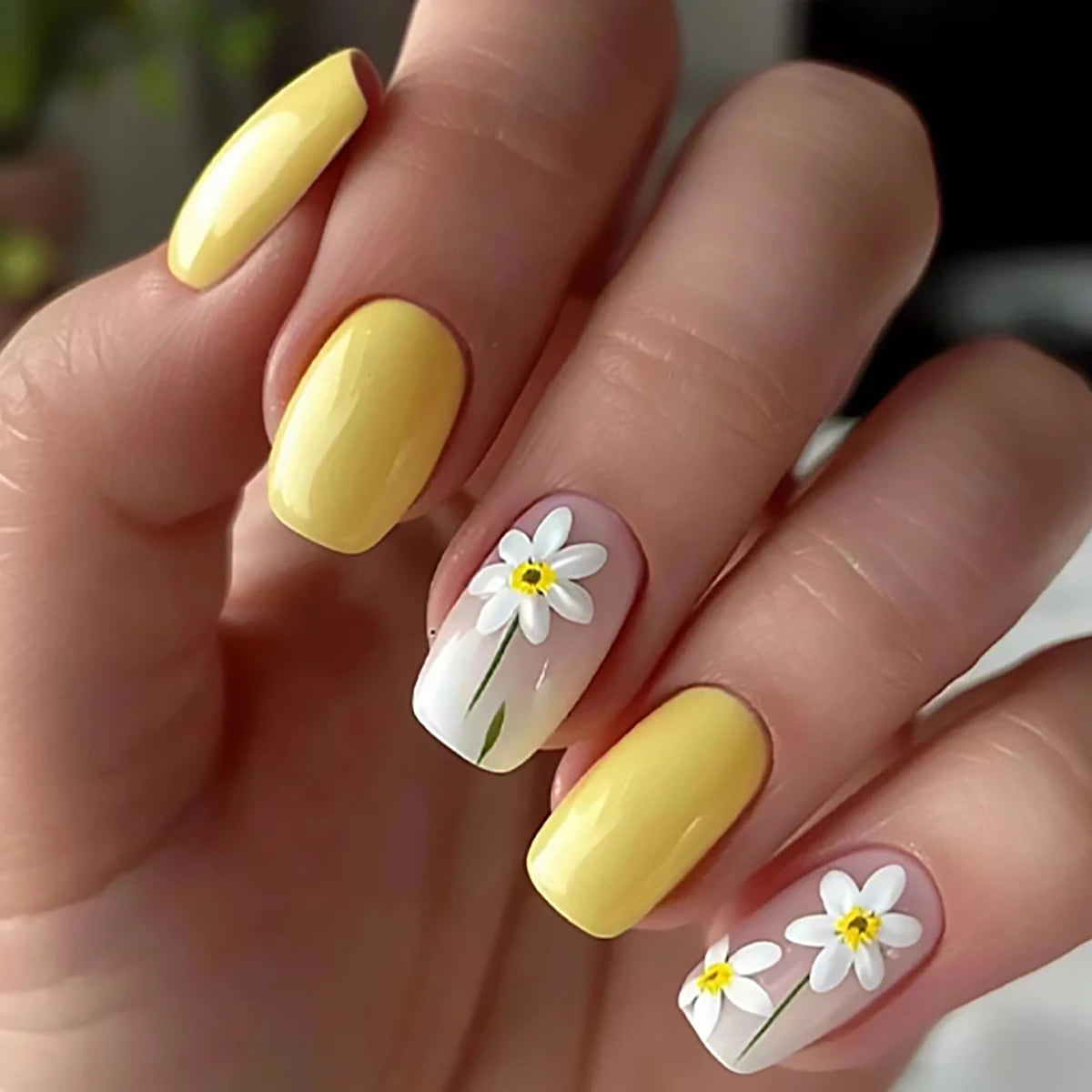 Daisy Days 