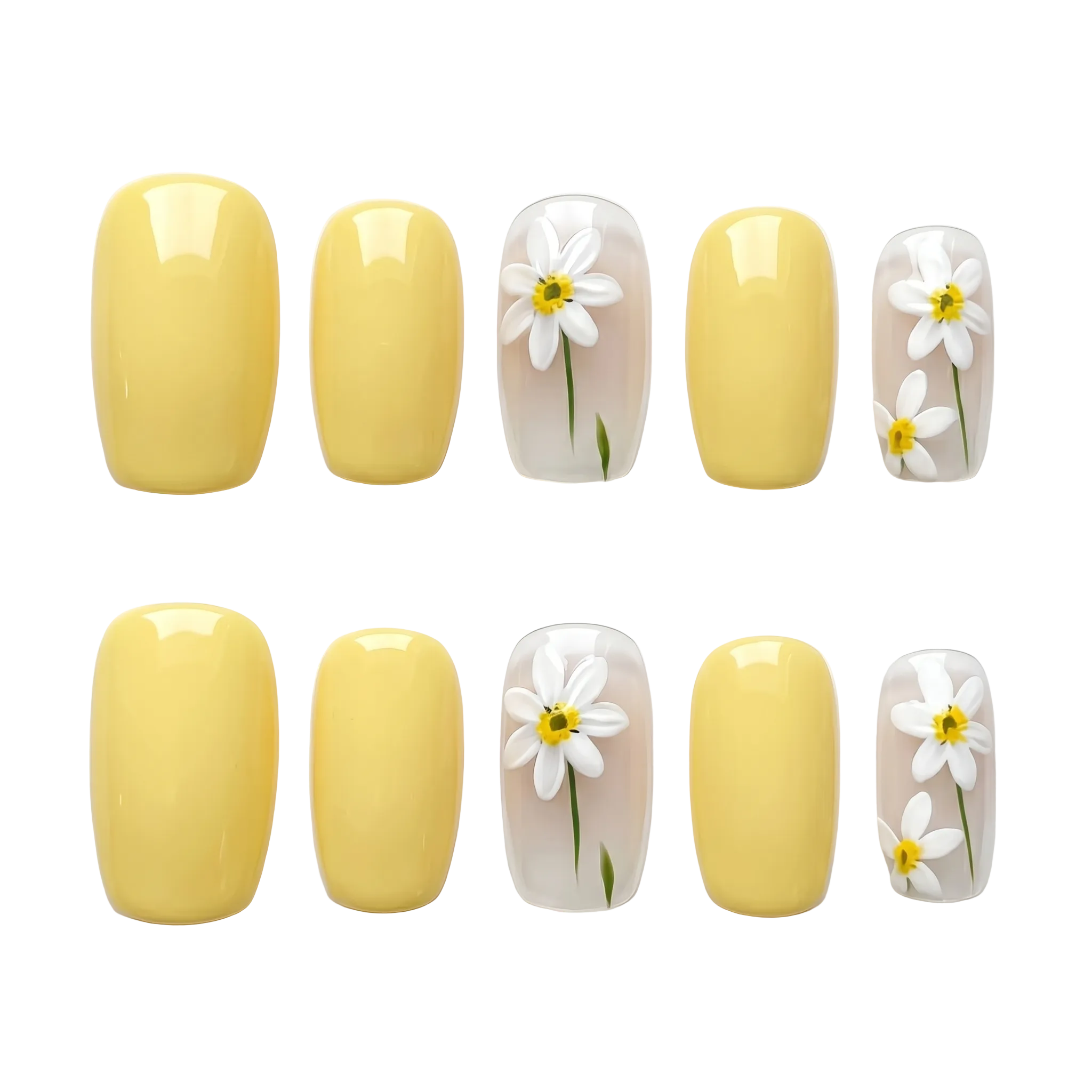 Daisy Days